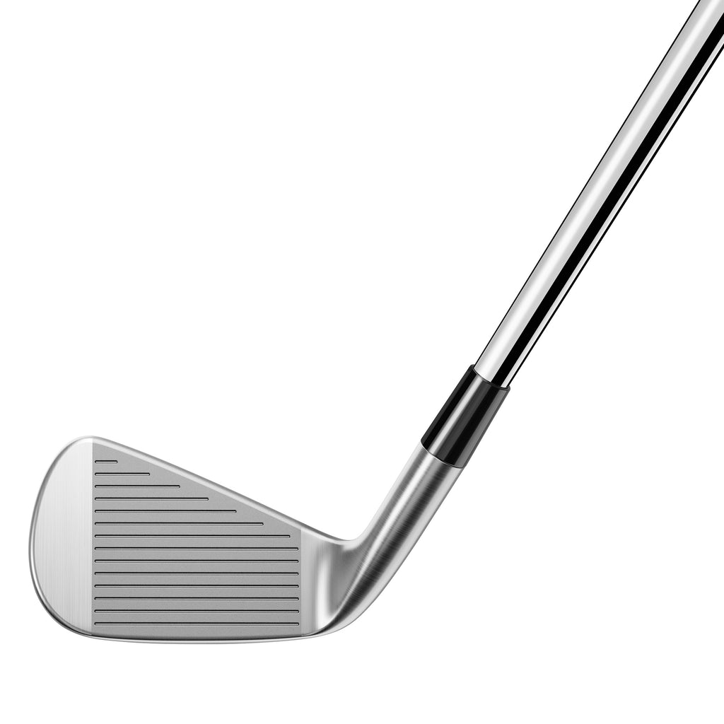 TaylorMade P790 Irons