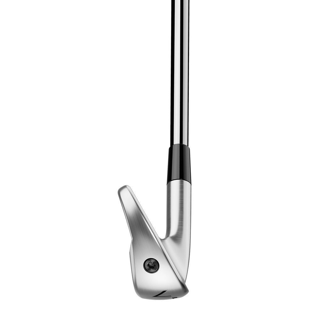 TaylorMade P790 Irons